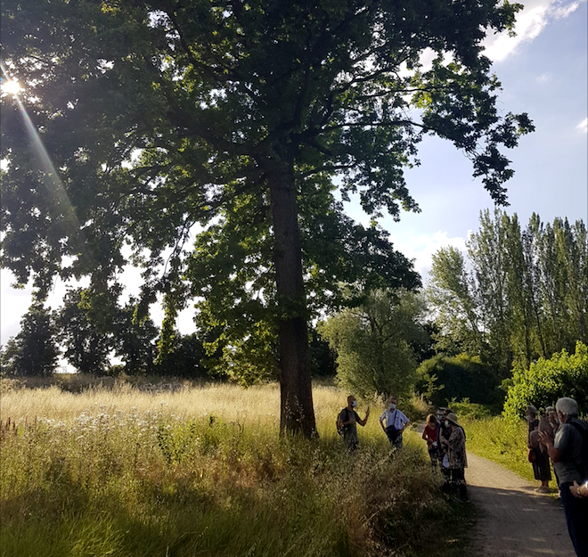 Visita guidata lungo il Navile (ASPPI Club 25 giugno 2021). Camminata fra le anse del corso d’acqua e il bosco, una lunga fascia ripariale fresca in mezzo ad una pianura coltivata.